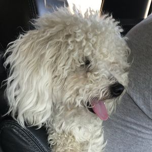 Meet your Posher, Candy